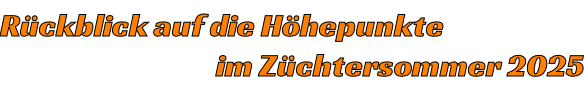 Rückblick auf die Höhepunkte                                      im Züchtersommer 2025